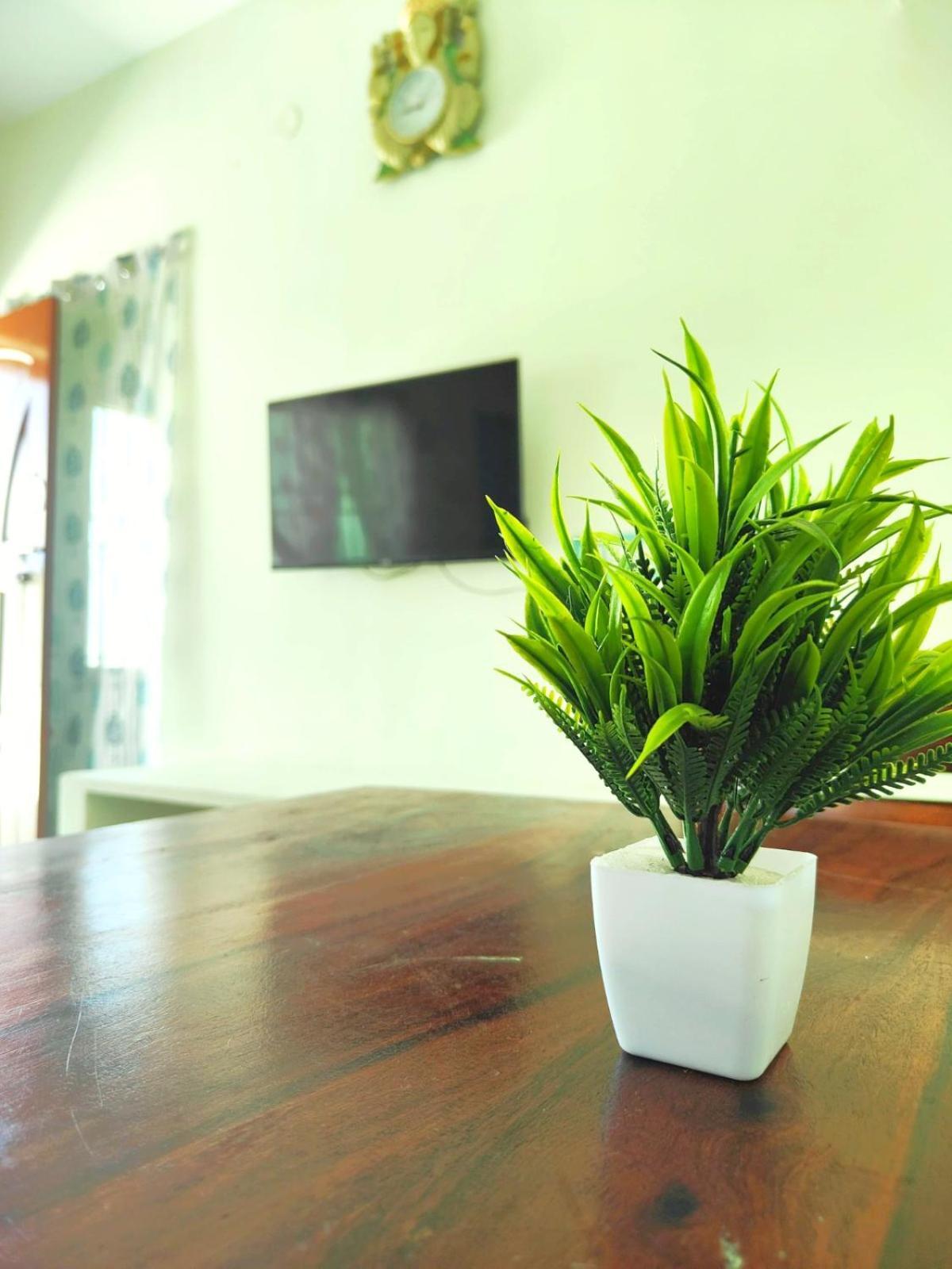Shivam Eden Beach Homestay Ποντισερί Εξωτερικό φωτογραφία